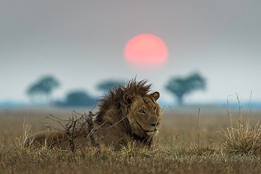 STANA Safari - About Us